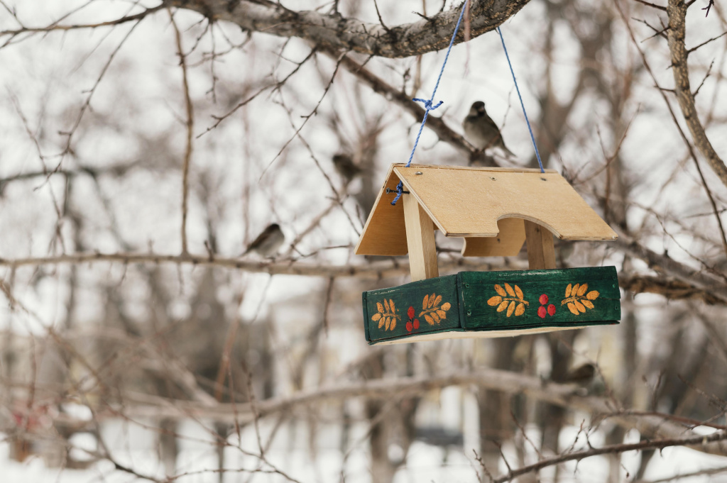 front-view-birdhouse-hanging-tree-outside-winter.jpg